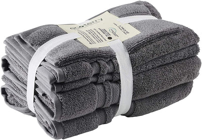 Ecoterry Sustainable 6 Piece Bath Towels Set (Iron)